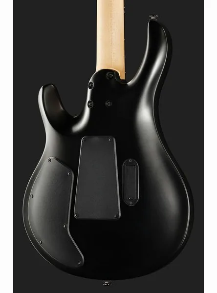 PRS SE Chleo Herman Li CPB, yksityiskohta 5