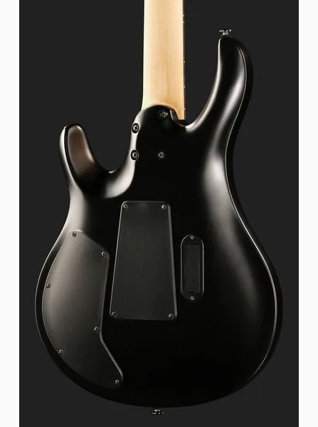 PRS SE Chleo Herman Li MB, yksityiskohta 5