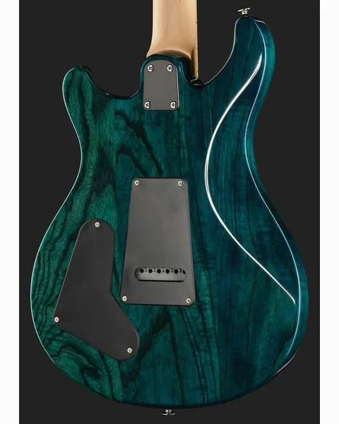 PRS SE Swamp Ash Special IB, yksityiskohta 5