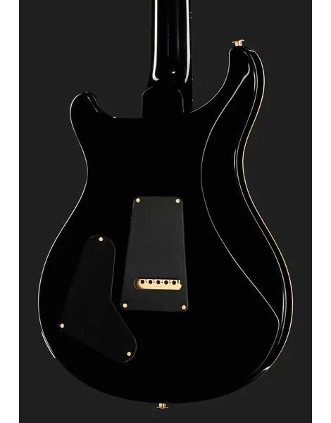 PRS Studio 10 Top FW, yksityiskohta 5