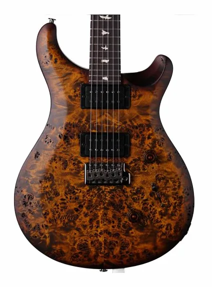 PRS Wood Library S2 Custom 24 BG edestä