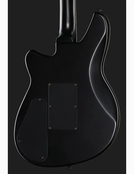 Reverend Vernon Reid Totem Talisman, yksityiskohta 5