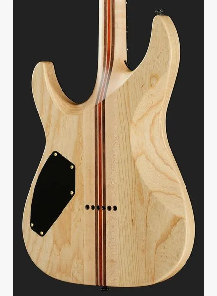 Schecter C-1 50th Anniversary GB, yksityiskohta 5