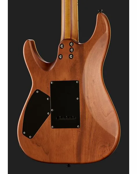 Schecter C-1 Exotic Spalted Maple SNVB, yksityiskohta 5