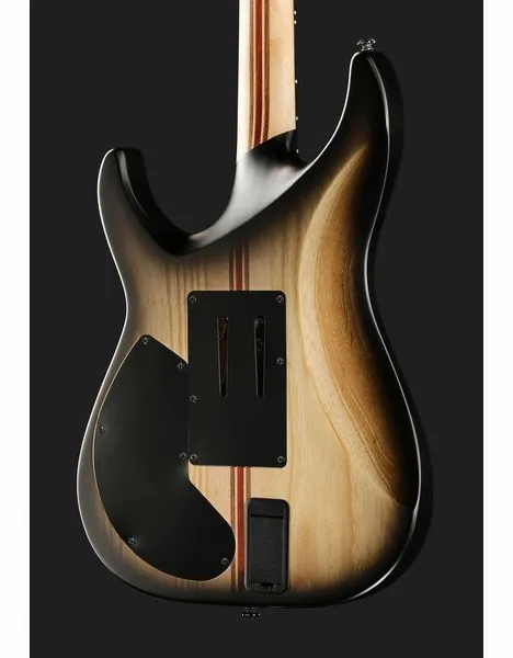 Schecter C-1 FR S Pale Moon SNBB, yksityiskohta 5