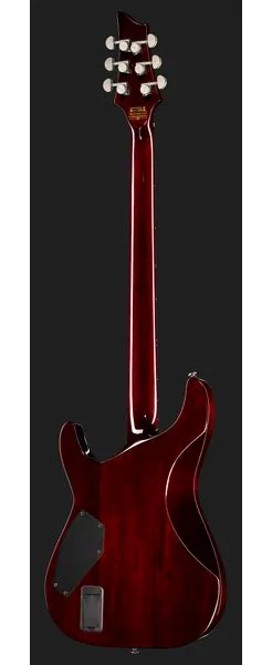Schecter Hellraiser C-VI BCH, yksityiskohta 3