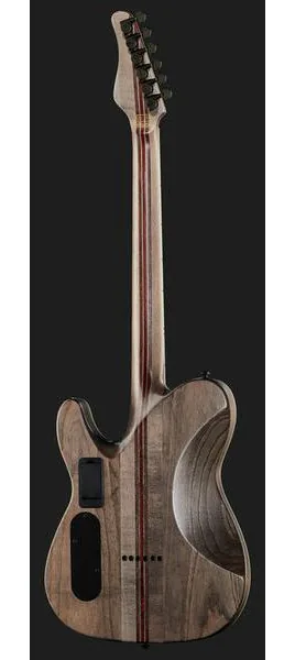 Schecter PT SLS Evil Twin, yksityiskohta 3