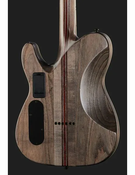 Schecter PT SLS Evil Twin, yksityiskohta 5