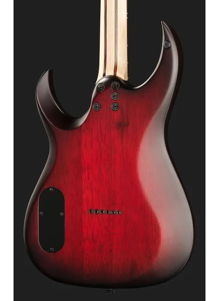 Schecter Sunset 6 Extreme SB, yksityiskohta 5