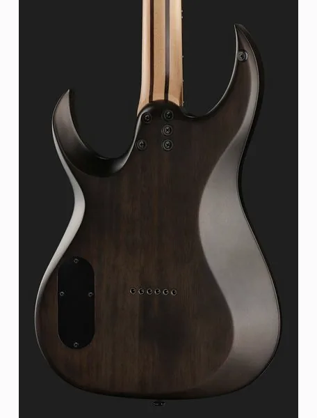 Schecter Sunset Extreme Grey Ghost, yksityiskohta 5