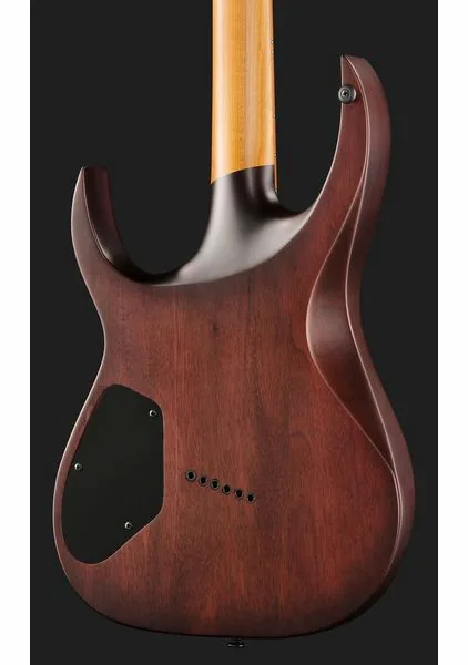 Solar Guitars A1.6FDPB-FF Flame Purple Burst, yksityiskohta 5