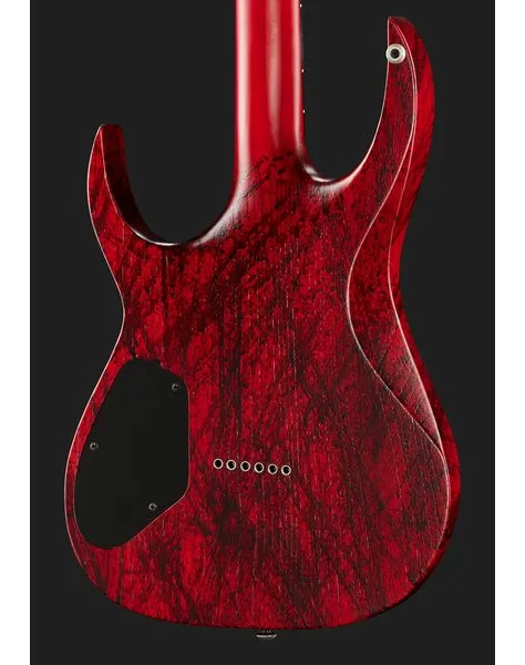 Solar Guitars A2.6Canibalismo+, yksityiskohta 5