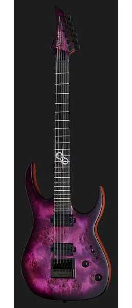 Solar Guitars S1.6PP, yksityiskohta 2