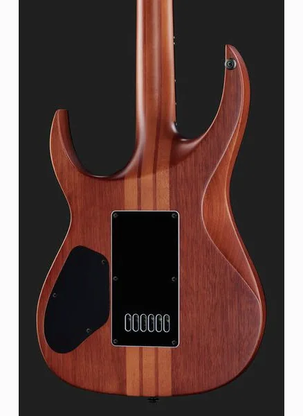 Solar Guitars S1.6PP, yksityiskohta 5