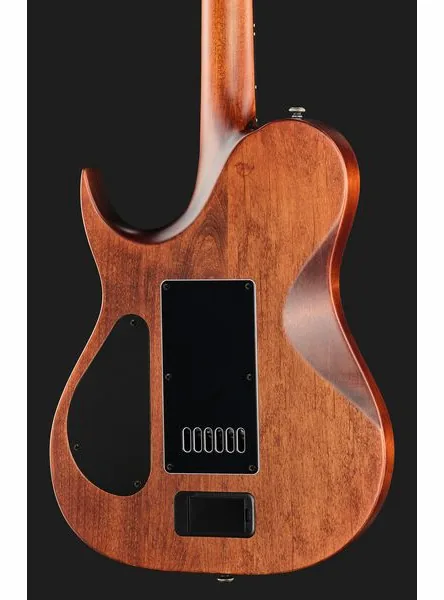Solar Guitars T1.6AD Aged Natural, yksityiskohta 5