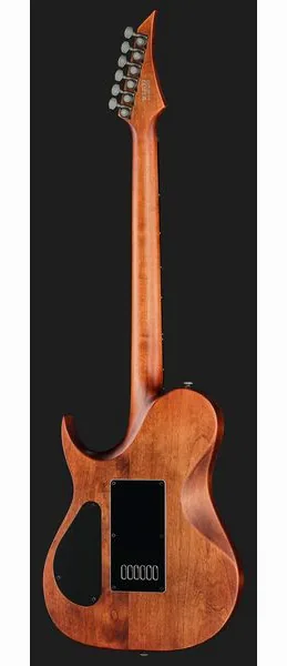 Solar Guitars T1.6D Aged Natural, yksityiskohta 3