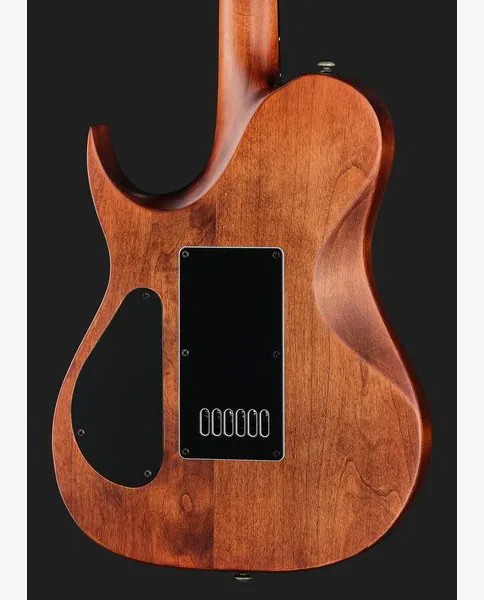 Solar Guitars T1.6D Aged Natural, yksityiskohta 5