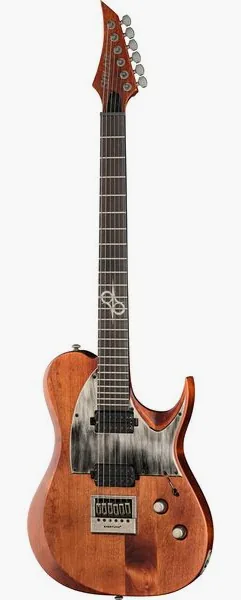 Solar Guitars T1.6D Aged Natural edestä