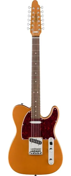 Squier Paranormal Troy V Leeuwen Tele edestä