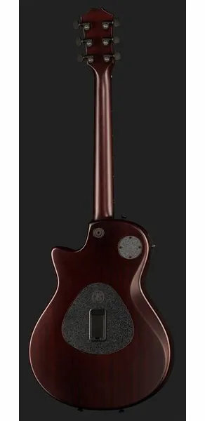 Taylor T5z Classic Koa, yksityiskohta 3