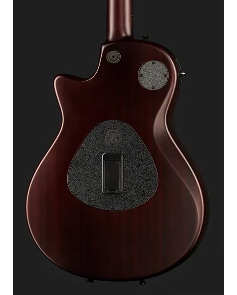 Taylor T5z Classic Koa, yksityiskohta 5