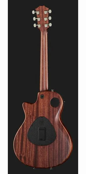Taylor T5z Classic, yksityiskohta 3