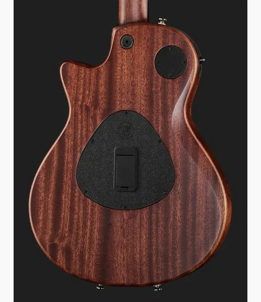 Taylor T5z Classic, yksityiskohta 5