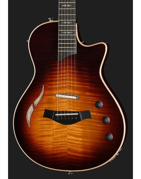 Taylor T5z Pro TSB, yksityiskohta 4