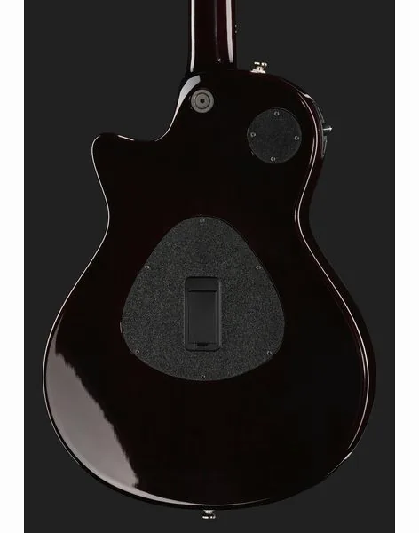 Taylor T5z Pro TSB, yksityiskohta 5