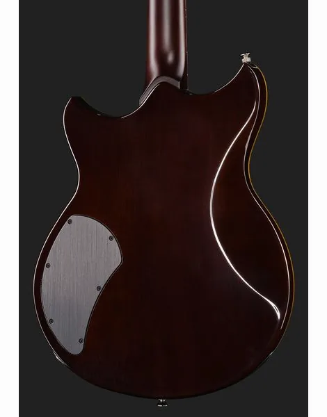 Yamaha Revstar RSP20X R. Br. Charcoal, yksityiskohta 5